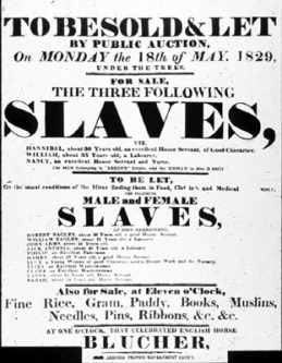 Slave Sale Poster